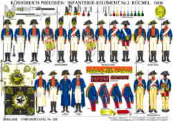 Tafel 330:  Königreich Preussen:  Infanterie-Regiment Nr.2 Rüchel  1806