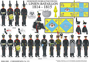 Tafel 175: Herzogtum Braunschweig: 1. Linien-Bataillon 1814-1815