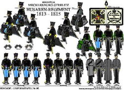 Tafel 096: Herzogtum Mecklenburg-Strelitz: Husaren-Regiment 1813-1815