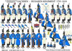 Tafel 350:  Kurfürstentum/Königreich Sachsen:  Husaren-Regiment  1791-1810