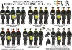 Tafel 243: Herzogtum Braunschweig: Reserve-Bataillone 1814-1815 / Ersatz-Bataillon 1815