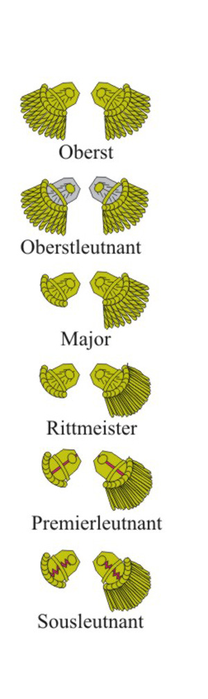 Tafel 045: Königreich Sachsen: Chevauleger-Regiment Prinz Johann 1810-1813