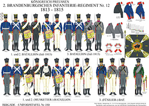 Tafel 249: Königreich Preußen: Brandenburgisches Infanterie-Regiment No.12 1813-1815