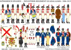 Tafel 302:  Königreich Spanien: Infanterie-Regiment Guadalajara  1806-1815