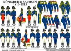 Tafel 293:  Königreich Sachsen:  Generale und Stäbe  1810-1813
